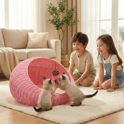 chatons jouant balle suspendue lit pour chaton enfants autour