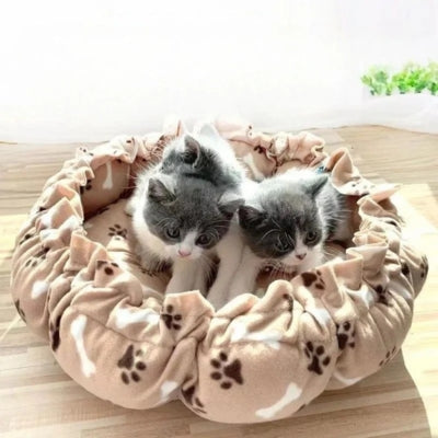 chatons lovés dans coussin pour chat café