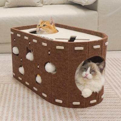 chats detendus dans cocon pour chat marron