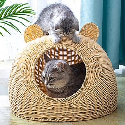 chatte lovée dans panier chat osier son chaton agrippe toit