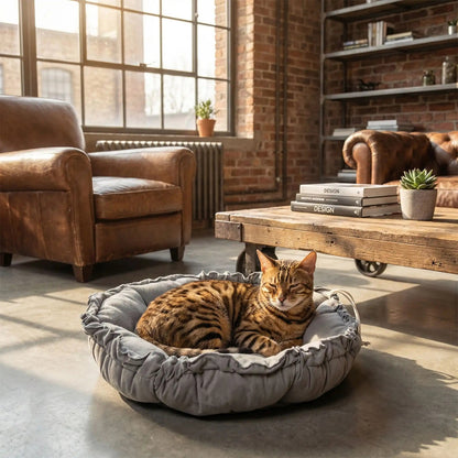 Couffin chaton gris brume avec chat lové dedans en mode nid dans un salon industriel