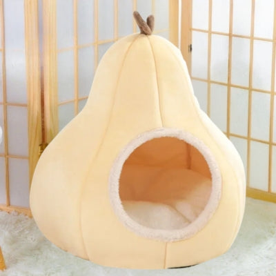 couffin chaton jaune vanille sur tapis blanc