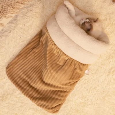 couffin chaton marron chaton dort dedans