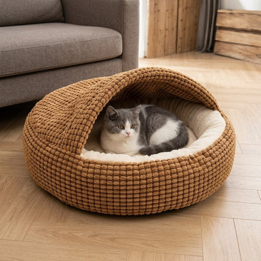Couffin pour chaton café, lové sous la capuche près du canapé