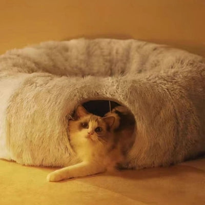 coussin à chat chat relaxant dedans