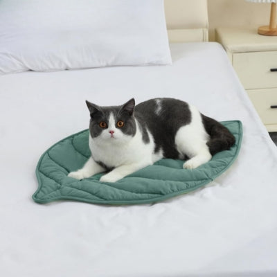 coussin à chat chat relaxant paisiblement dessus lit