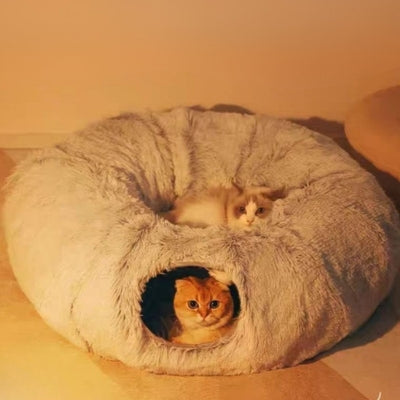 coussin à chat chaton detendu chat relaxant en haut