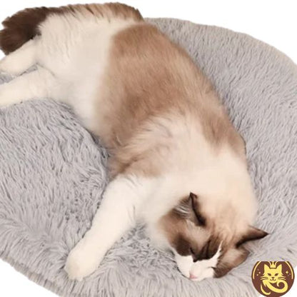 coussin à chat dodo du pacha gris chat endormi dessus