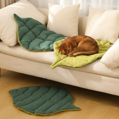 coussin é chat nature feline classique vert chat roux canape double face