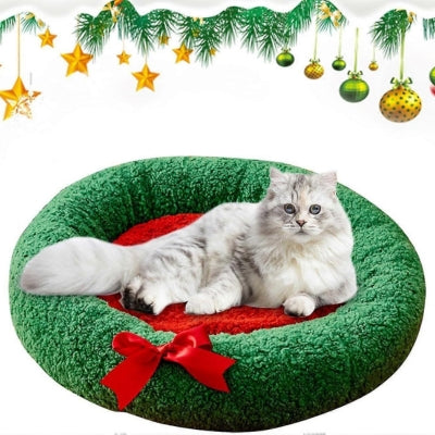 coussin à chat persan allongé confortablement dedans