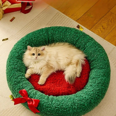 coussin à chat ragdoll relaxant paisiblement