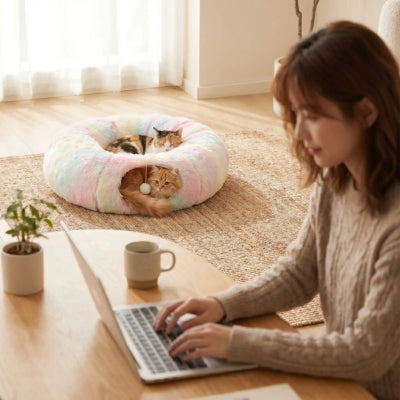 Coussin chat arc en ciel femme ordinateur