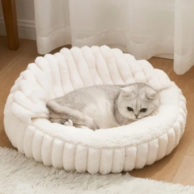 coussin chat blanc chat couché en boule dedans
