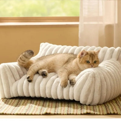 coussin chat blanc chaton detendu dessus