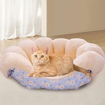 coussin chat bleu fleuri chat detendu dedans