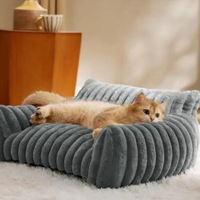 coussin chat bleu chaton allongé confortablement dessus