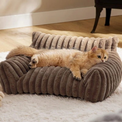 coussin chat café chaton detendu dessus