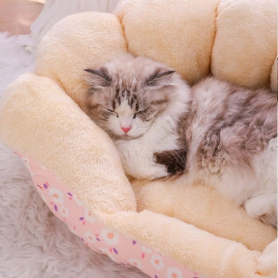 coussin chat chat dort profitant douceur du coussin