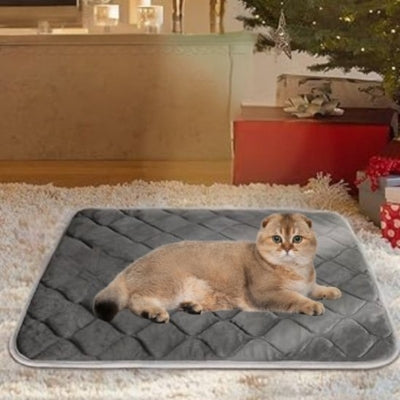 coussin chat chat étendu dessus dans salon décoré noel