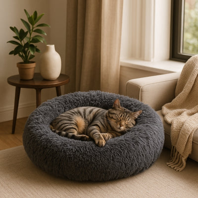 coussin chat cocoonut gris foncé chat endormi fenêtre