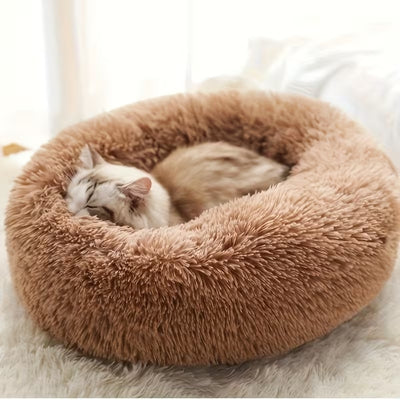 coussin chat cocoonut marron chat blotti dessus