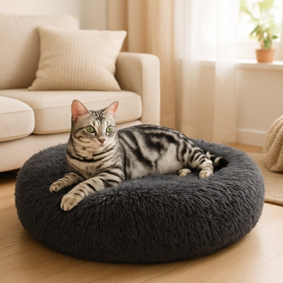 coussin chat cocoonut gris foncé chat éveillé salon