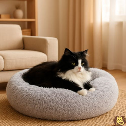 coussin chat cosy dodo gris avec hymalayen relaxant dedans