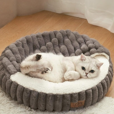 coussin chat gris chat allongé sur son dos confortablement dedans
