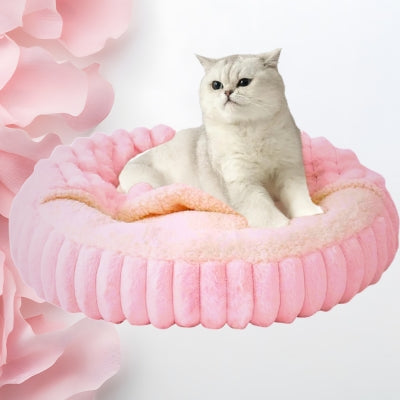 coussin chat rose chat installé confortablement dessus