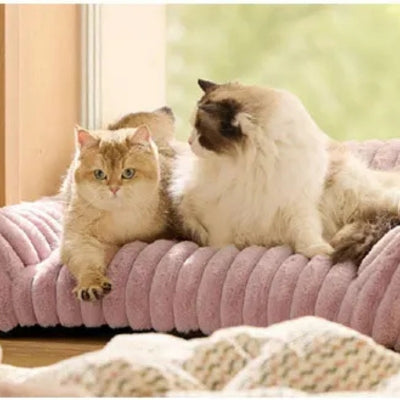 coussin chat rose deux chats detendus dessus