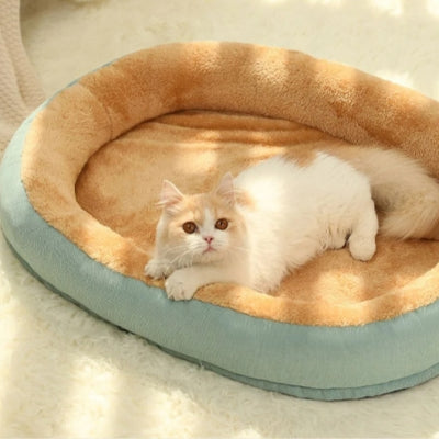 coussin chat vert clair chat relaxant dessus