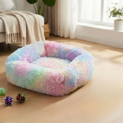 coussin chaton arc-en-ciel