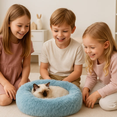 coussin chaton birman endormi dedans enfants le regardant joyeusement