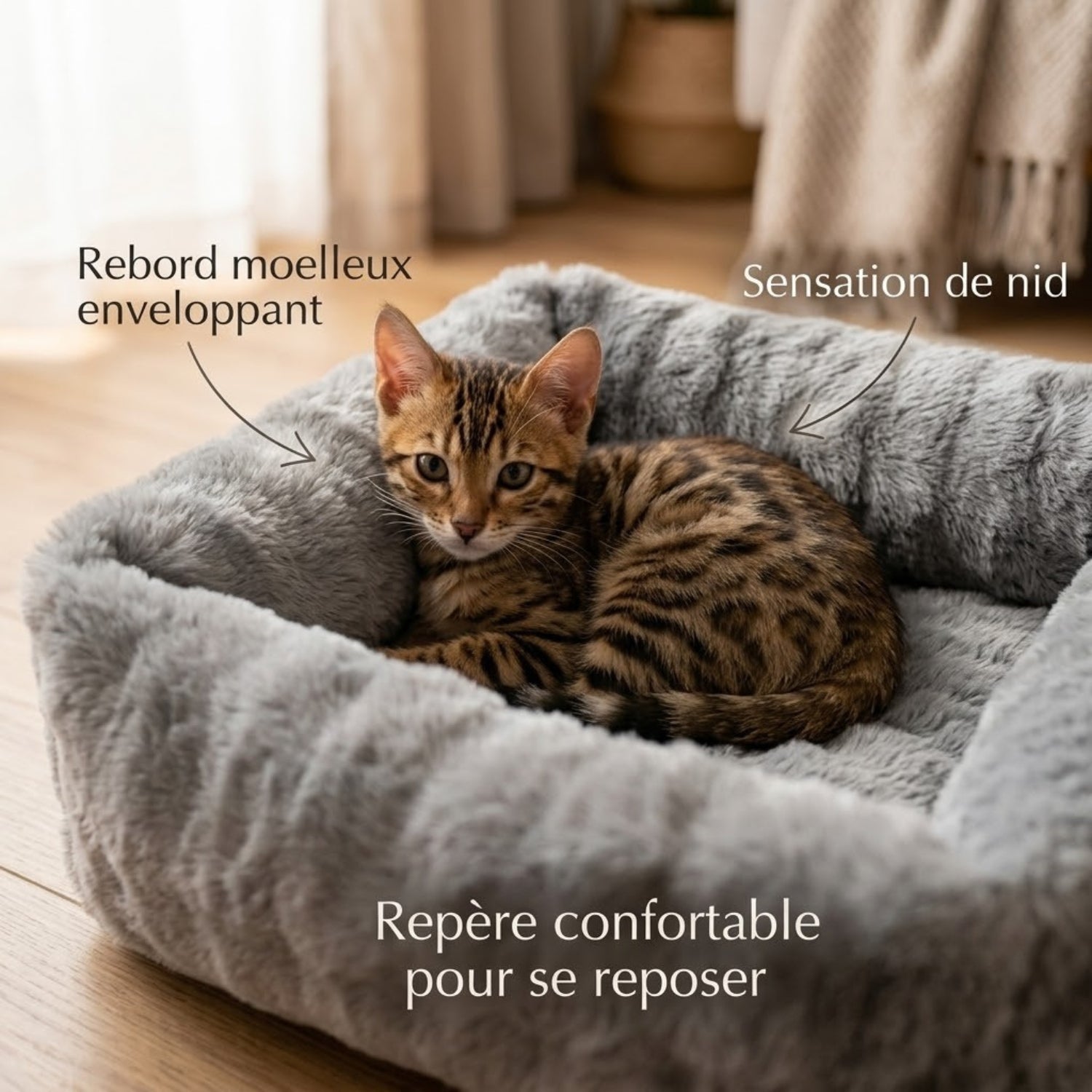 Coussin chaton bords hauts gris, chaton lové dans le rebord moelleux, sensation de nid