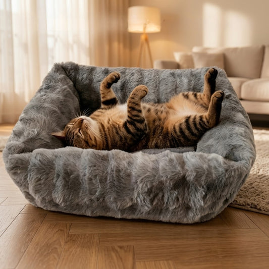 Coussin chaton bords hauts gris, chaton sur le dos, totalement détendu