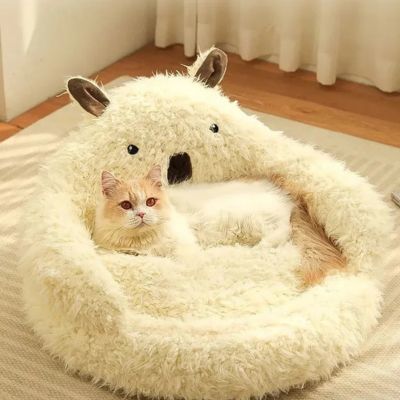 coussin pour chaton chaton detendu paisiblement dessus