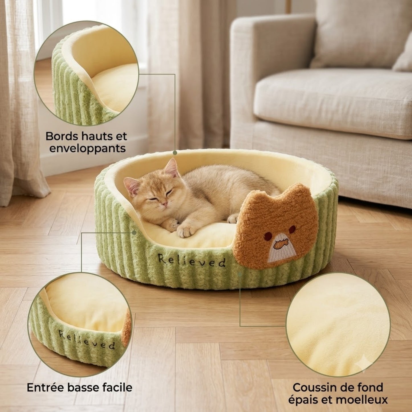 Coussin chaton endormi dedans, zooms sur bords hauts, entrée basse et coussin moelleux.