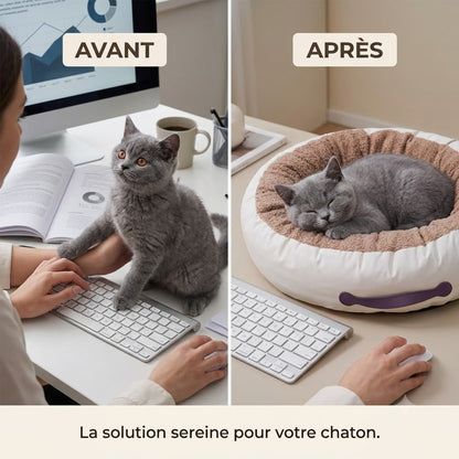 Coussin chaton gris, avant sur clavier, après endormi dedans