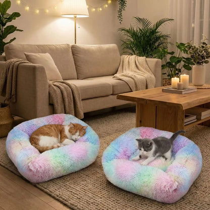Coussin chaton moelleux, deux coussins avec deux chatons installés au salon