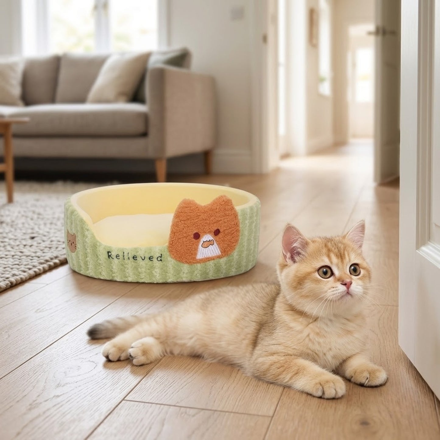 Coussin chaton près du couloir, il observe avant d'entrer.