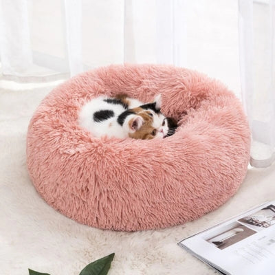 coussin chaton rose poudré chaton en boule relaxant dessus