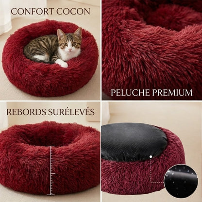 Coussin chaton rouge vin, chaton lové dedans, zoom peluche rebords et base antidérapante