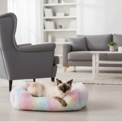 coussin chaton siamois relaxant dedans