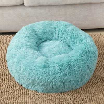 coussin chat turquoise