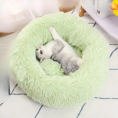 coussin chaton vert chaton s'étirant dedans