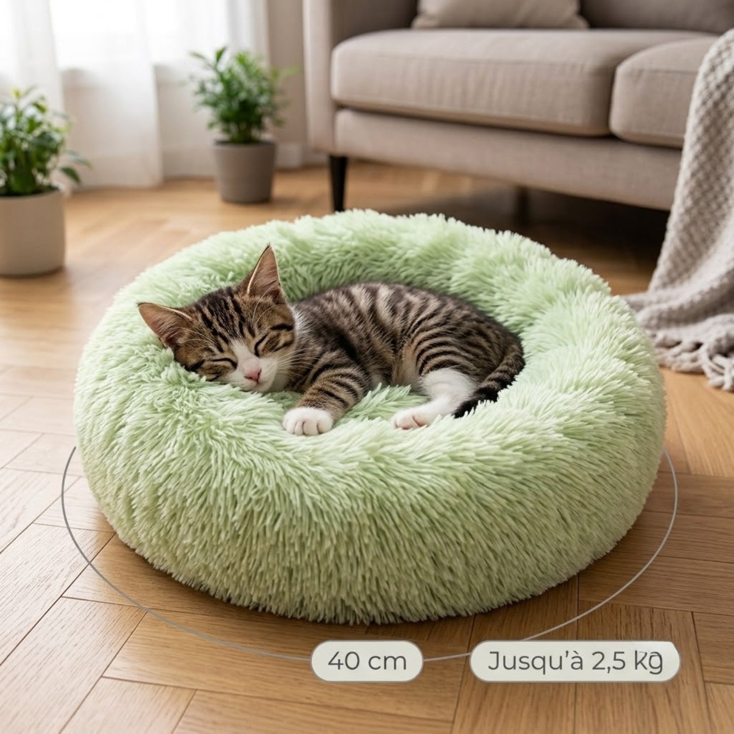 Coussin chaton vert pastel, chaton endormi dedans, 40 cm jusqu'à 2,5 kg