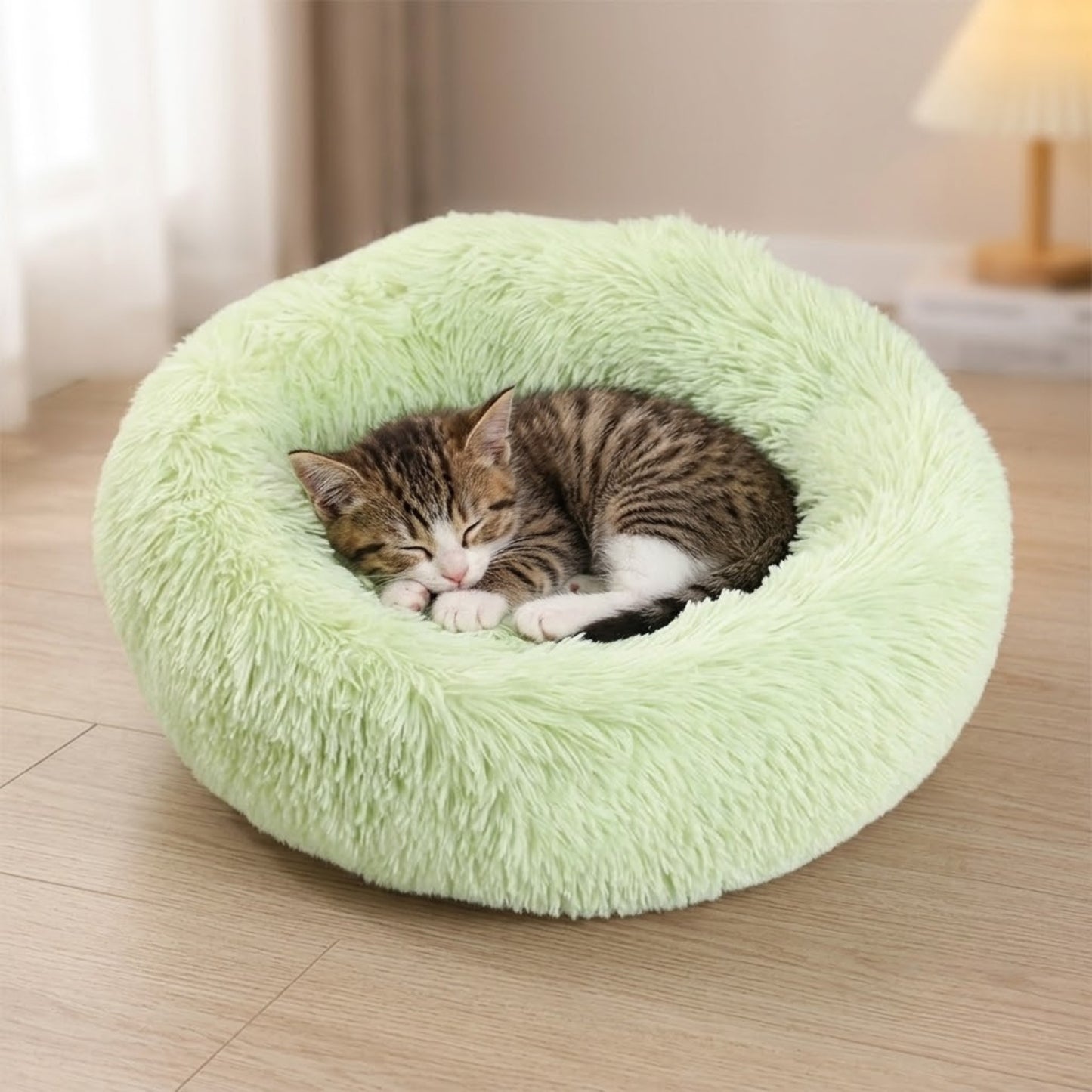Coussin chaton vert pastel, chaton endormi lové en boule dedans
