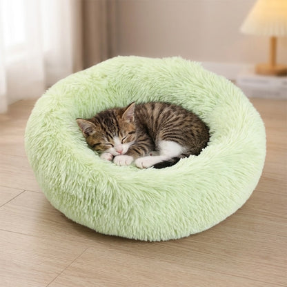 Coussin chaton vert pastel, chaton endormi lové en boule dedans
