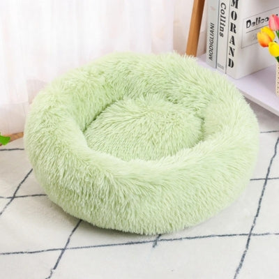 coussin chat vert pastel