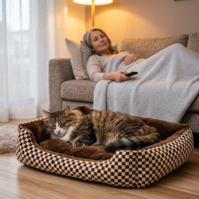 coussin chats doudourelax norvegien dame sofa télécommande